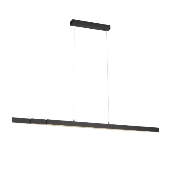 Suspension LED Anthracite Métal 13 W 165 cm allongée