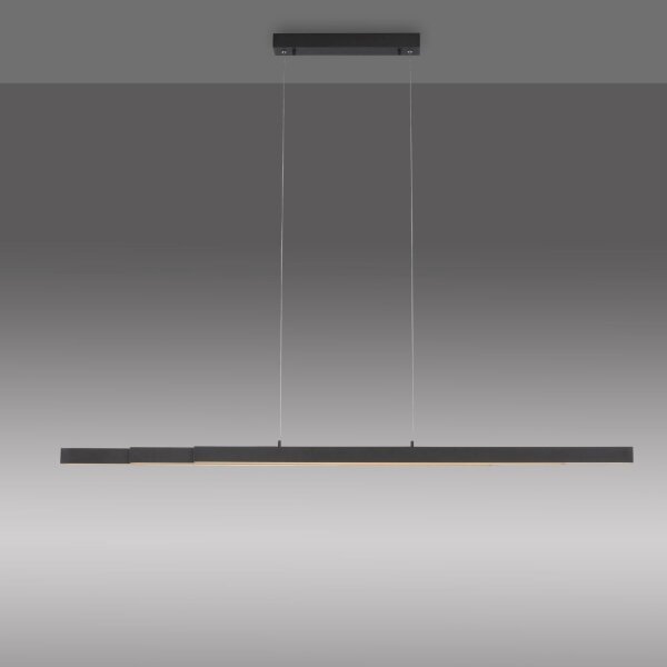 Suspension LED Anthracite Métal 13 W 165 cm allongée