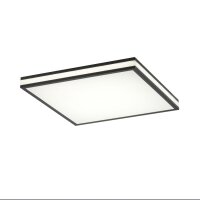 Lampe de plafonnier LED dimmable 2700-5000 K L:45 cm...