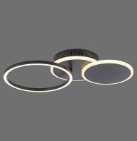 Lampe de plafonnier LED noir métal blanc chaud 26...