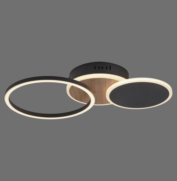 Lampe de plafonnier LED noir nature blanc chaud 26 W ajustable