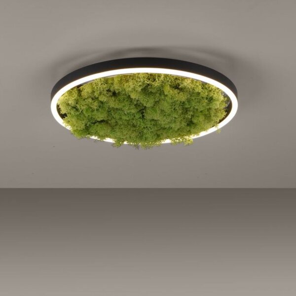 Lampe de plafonnier LED Mousse Noir 3000 K 2650 lm dimmable