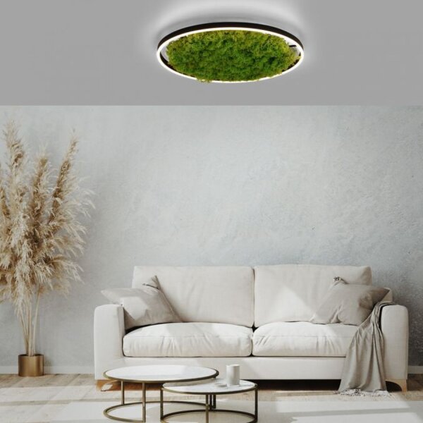 Lampe de plafonnier LED à intensité variable Mousse Noir 3000 K 28 W