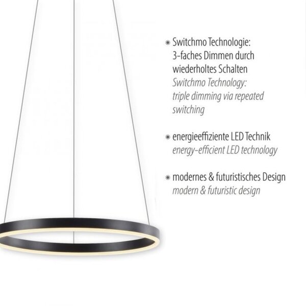 Lampe LED à intensité variable Anthracite Métal Ø39,3 cm 20 W