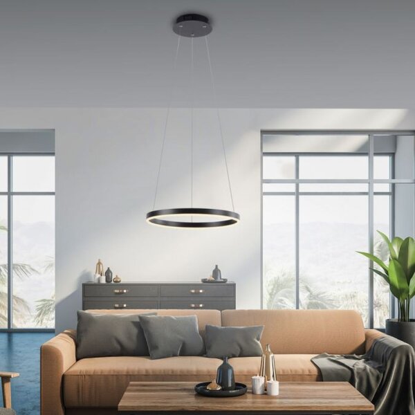 Lampe LED à intensité variable Anthracite Métal Ø39,3 cm 20 W