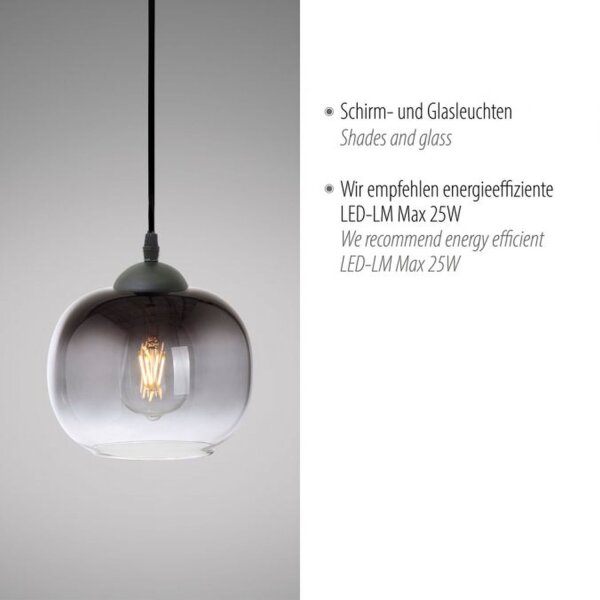 Lampe à suspendre Abat-jour en verre Gris fumé Noir E27 Ø19 cm rond