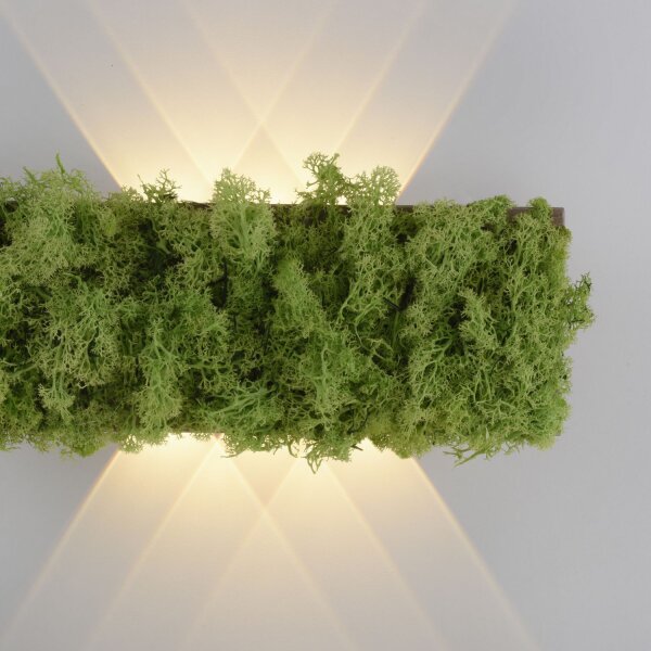 Applique LED Up Down L:32 cm 3000 K 130 lm en mousse