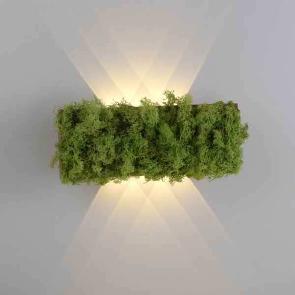 Applique LED Up Down L:32 cm 3000 K 130 lm en mousse