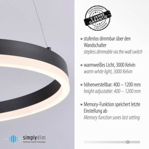 Lampe LED suspendue anthracite blanc chaud 3000 K Ø40 cm Anneau