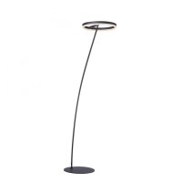 Lampadaire LED anthracite dimmable blanc chaud 20 W 215 cm