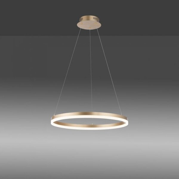 Suspension LED en laiton dimmable 3000 K Ø60 cm Anneau