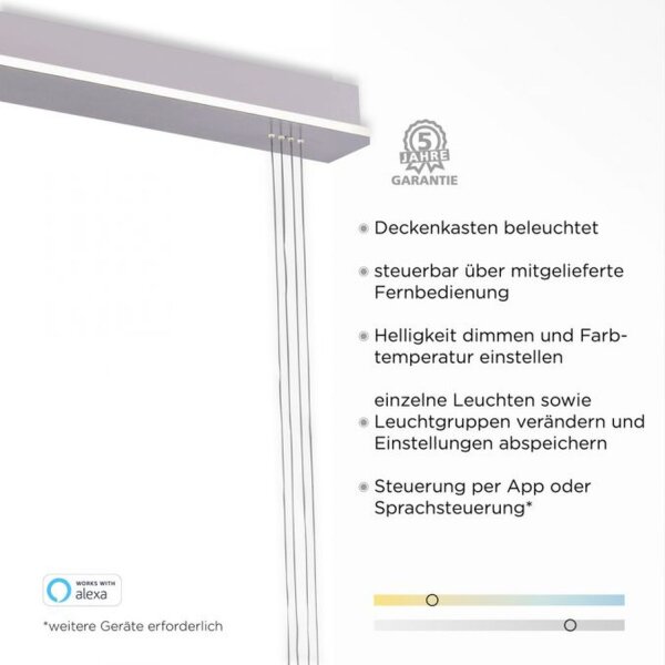 Lampe LED à suspendre verre en acier 2 flammes Télécommande