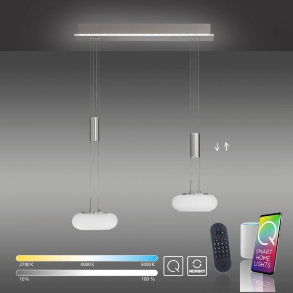 Lampe LED à suspendre verre en acier 2 flammes Télécommande