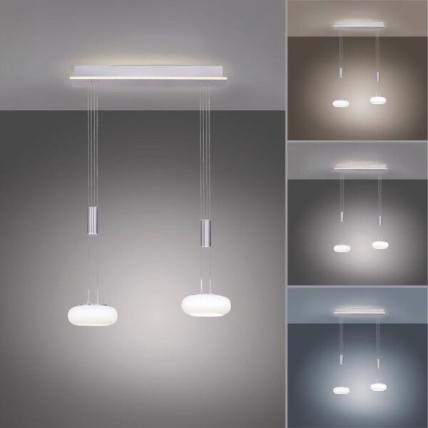 Lampe LED à suspendre verre en acier 2 flammes Télécommande
