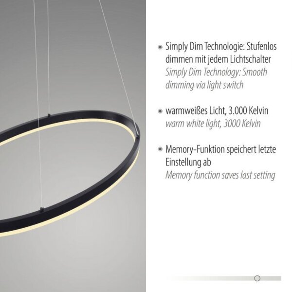Suspension LED Anthracite ovale 3000 K L:80 cm intensité lumineuse variable