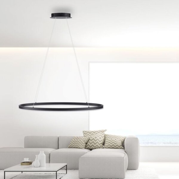 Suspension LED Anthracite ovale 3000 K L:80 cm intensité lumineuse variable