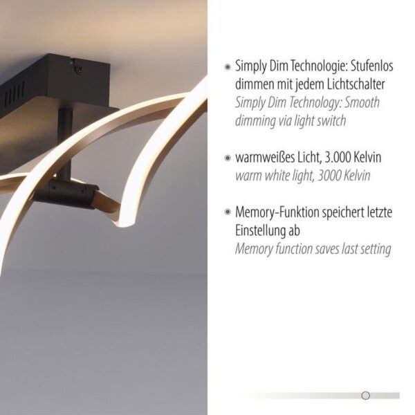 Lampe de plafonnier LED à intensité variable noir laiton 106 cm 3000 K