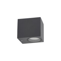 Applique murale extérieure Downlight Gris...