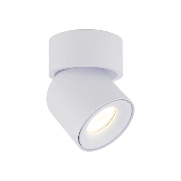 Spot de plafond réglable blanc métal GU10 IP65