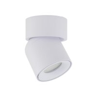 Spot de plafond réglable blanc métal GU10 IP65