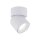 Spot de plafond réglable blanc métal GU10 IP65