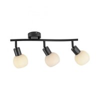 Spot de plafond verre métal incl E14 3000 K flexible