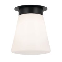 Lampe de plafonnier verre métal D : 21,6 cm petit...