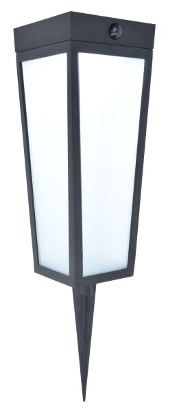 Projecteur solaire à LED sur piquet IP44 RGB Détecteur de mouvement