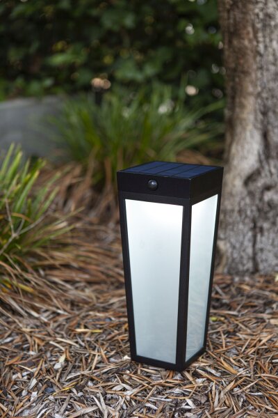 Projecteur solaire à LED sur piquet IP44 RGB Détecteur de mouvement