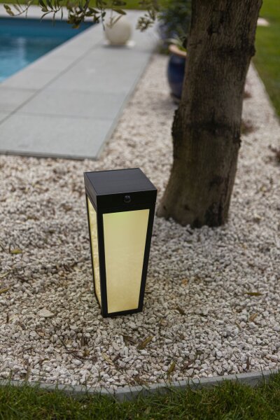 Projecteur solaire à LED sur piquet IP44 RGB Détecteur de mouvement
