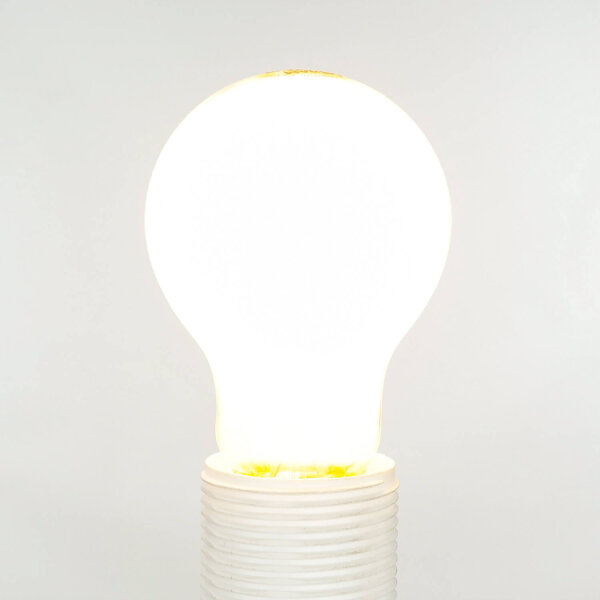 Ampoule LED E27 à intensité variable 7,5 W 806 lm 2700 K blanc chaud - LM110A