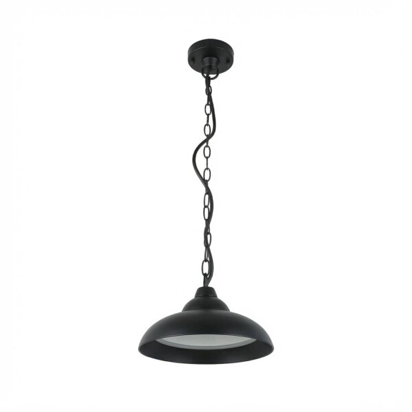Lampe LED extérieure suspendue Noir 25 cm de large IP54 Alu 3000 K