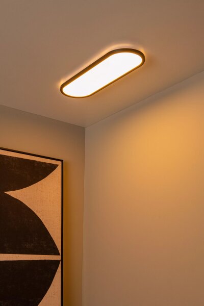 LED Deckenlampe dimmbar 60 cm 2700-4000 K Fernbedienung