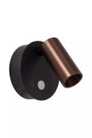 LED Akku Spot Sensor Kaffeebraun Schwarz 2700-4000 K