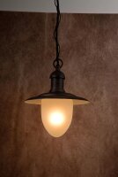 Outdoor Pendelleuchte Metall Glas Rostbraun IP44