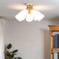 Deckenlampe VAIO Weiß 5-flmg