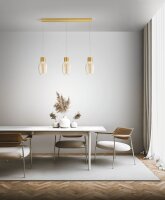 LED Hängelampe Glas Metall 3000K L:92 cm dekorativ