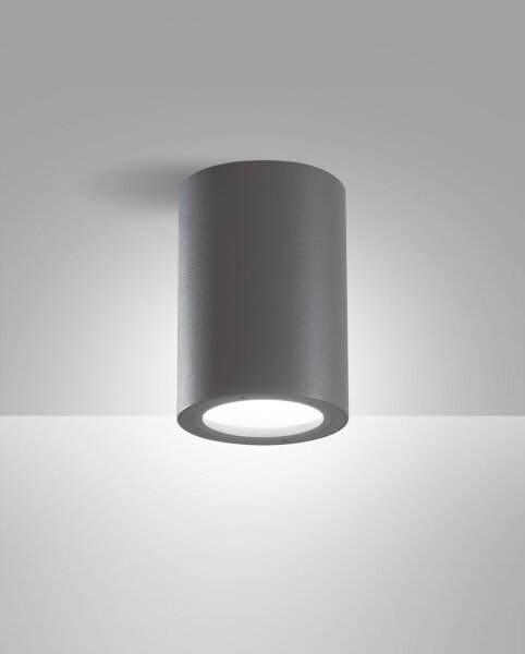 Deckenleuchte Aluminium IP54 Dunkelgrau Glas E27
