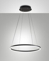 LED Hängelampe IP40 3000K Metall Schwarz Ø60...