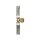 Up Down Wandleuchte Gold Grau H:43,5 cm G9 2-flammig