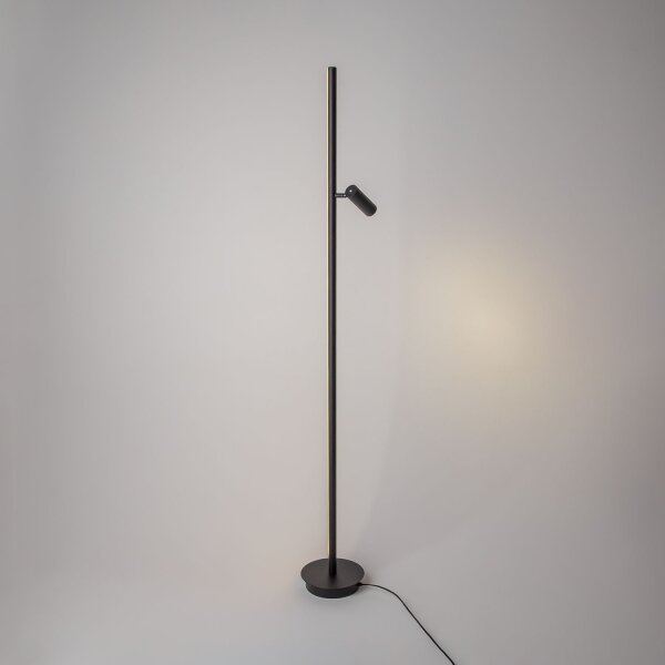 LED Stehlampe dimmbar Schwarz 155 cm 3000 K flexibel