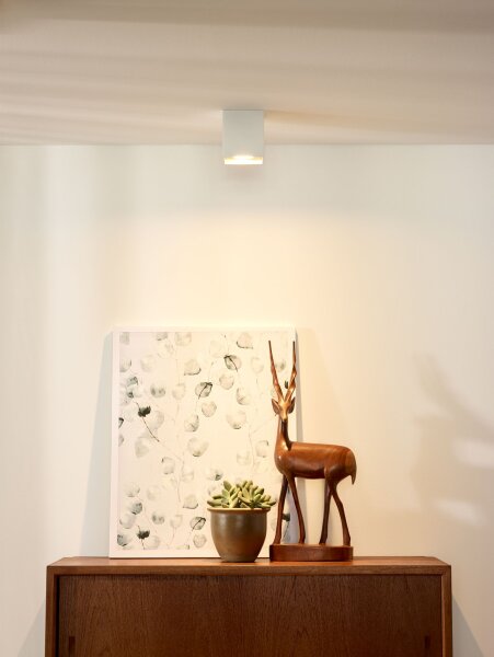 Deckenstrahler Aluminium Weiß GU10 L:8 cm modern