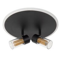 LED Deckenleuchte 2200 K B:30 cm Fernbedienung edel