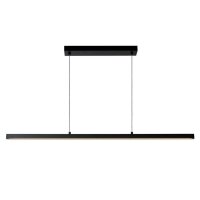 LED Pendelleuchte Metall Schwarz 2700 K L:118 cm