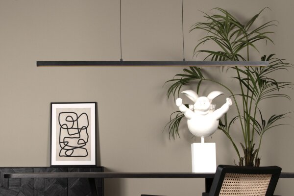 LED Pendelleuchte Metall Schwarz 2700 K L:147 cm