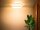 Runde Deckenlampe Stoff Braun E27 Ø60 cm blendarm