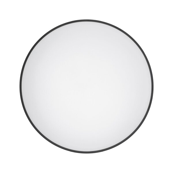 LED Deckenleuchte Stahl Schwarz 4000 K IP44 rund