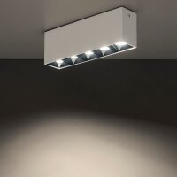 LED Deckenleuchte Weiß Schwarz 4000 K L:19 cm lang