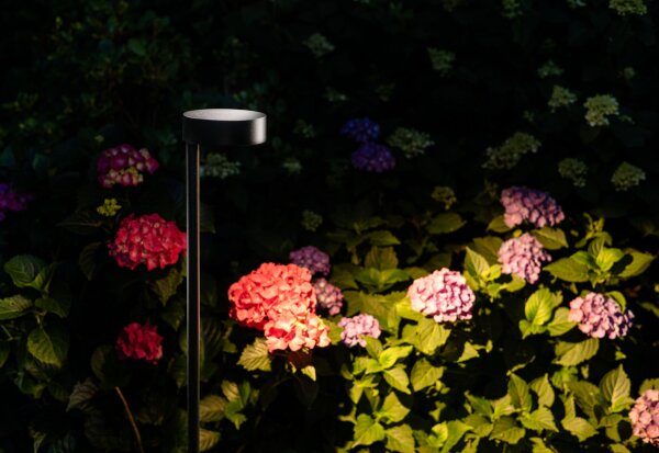 LED Wegeleuchte Schwarz Erdspieß IP54 3000 K 100 cm
