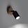 Wandspot Holz Stahl Schwarz GU10 verstellbar H:10 cm